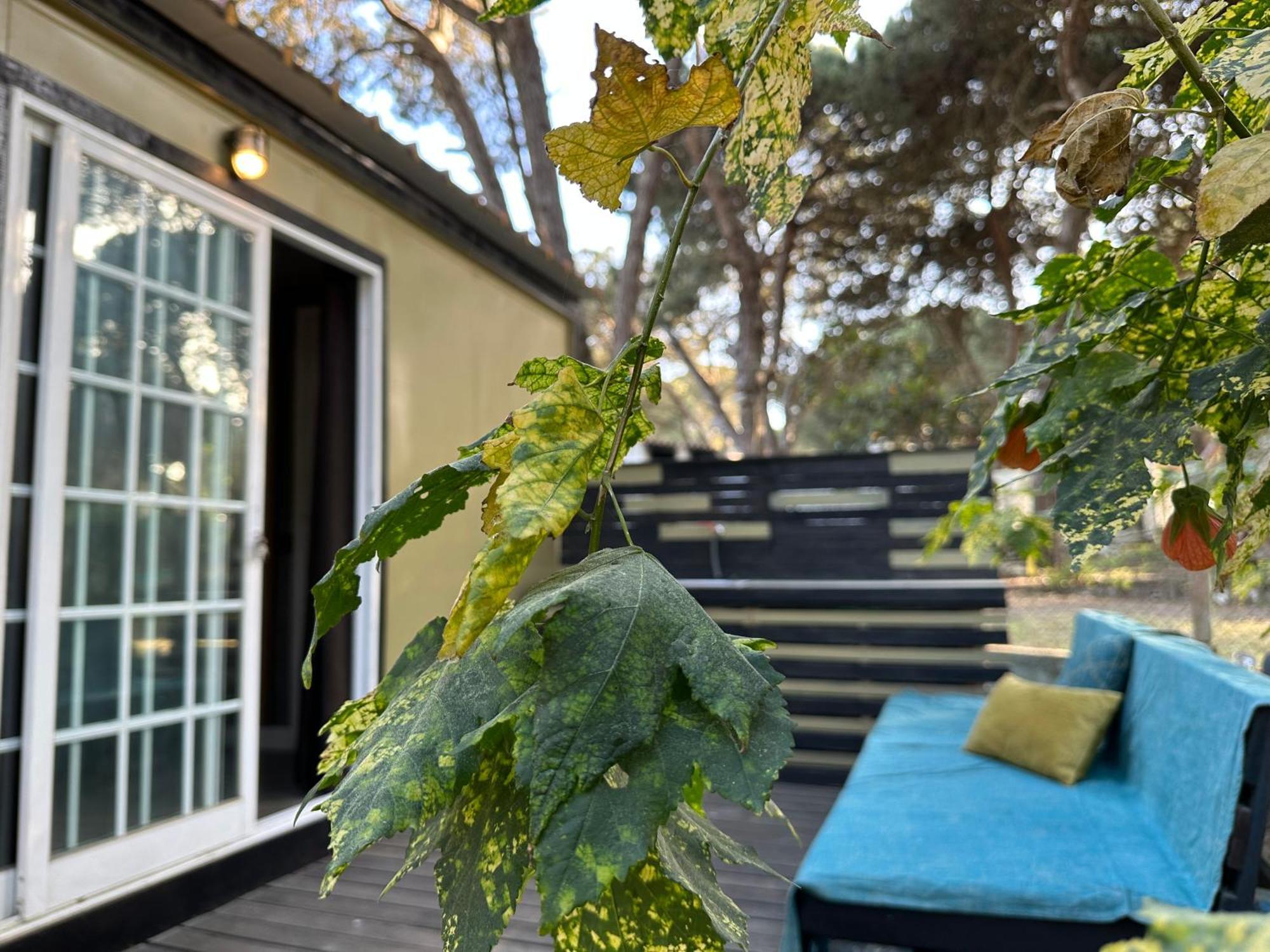 Eco-Friendly Beach House Sesimbra Eksteriør bilde