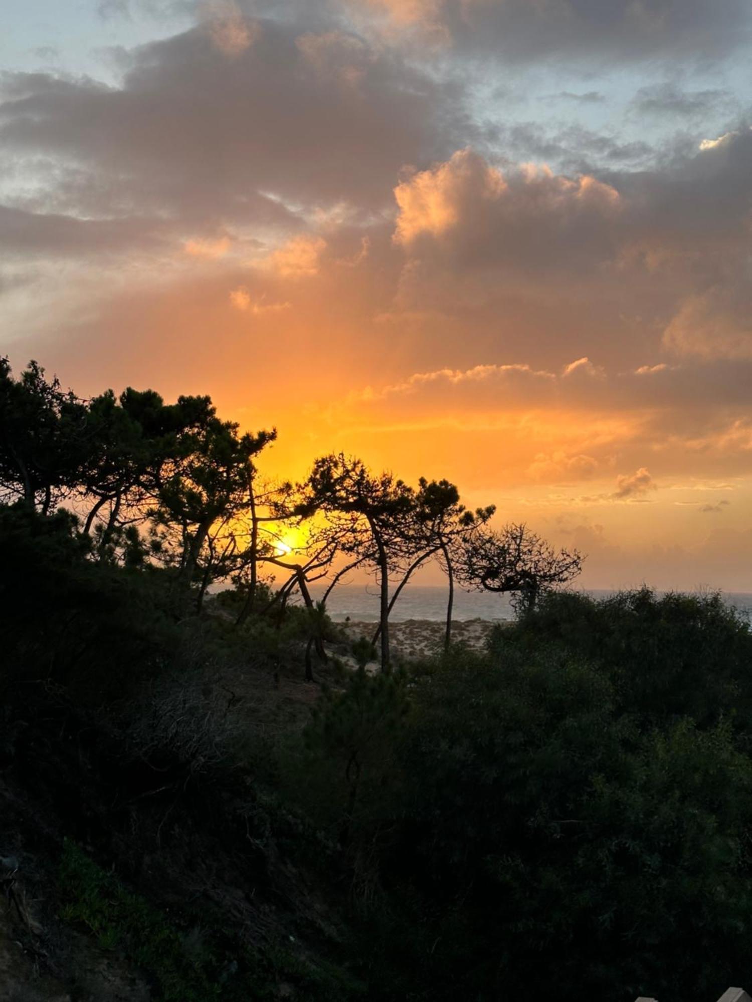 Eco-Friendly Beach House Sesimbra Eksteriør bilde