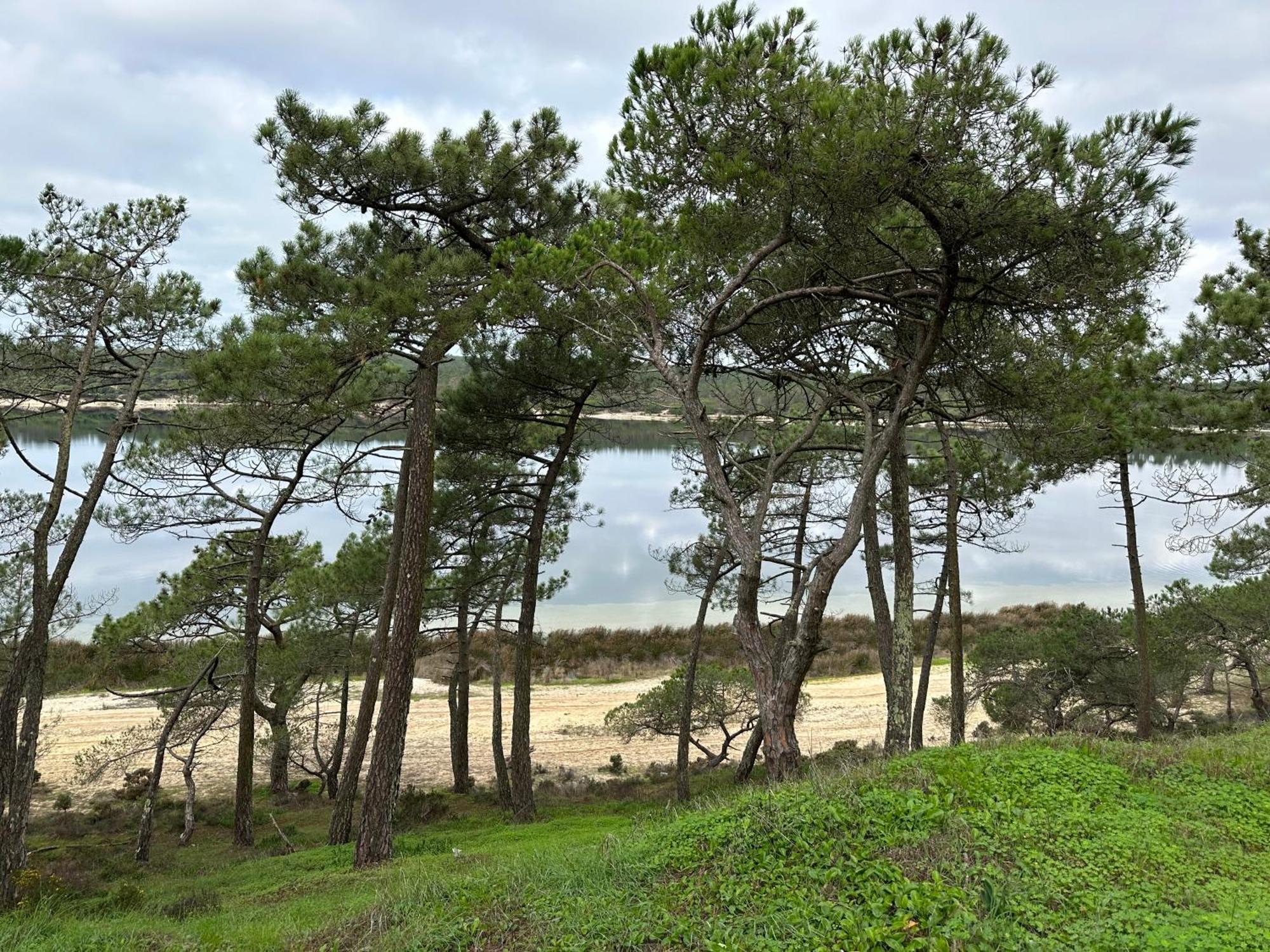 Eco-Friendly Beach House Sesimbra Eksteriør bilde